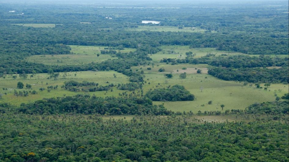 La altillanura, ¿el olvido que veremos?