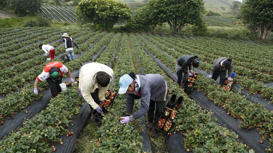 Foto: semanarural.com